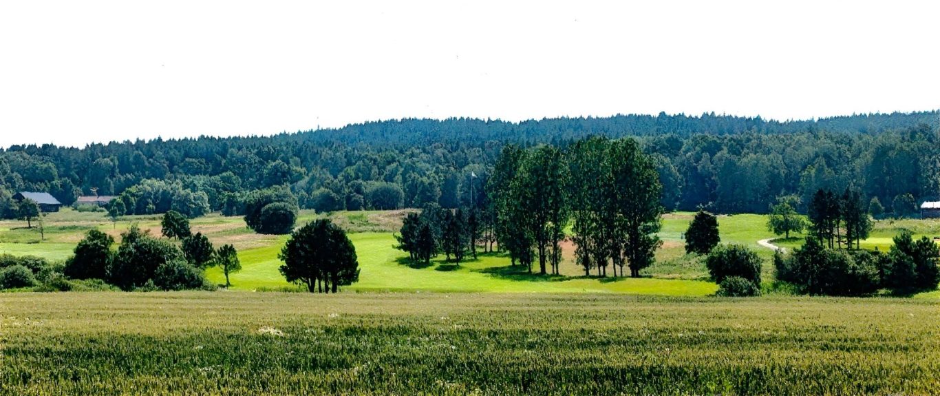 Vy från nordost: Den mörka skogsklädda bergryggen är Norra Forsbergen. Vy från nordost: Den mörka skogsklädda bergryggen är Norra Forsbergen.